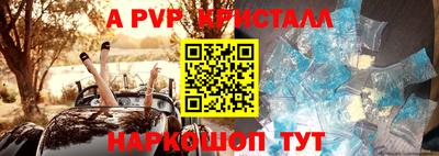 СК Тверь