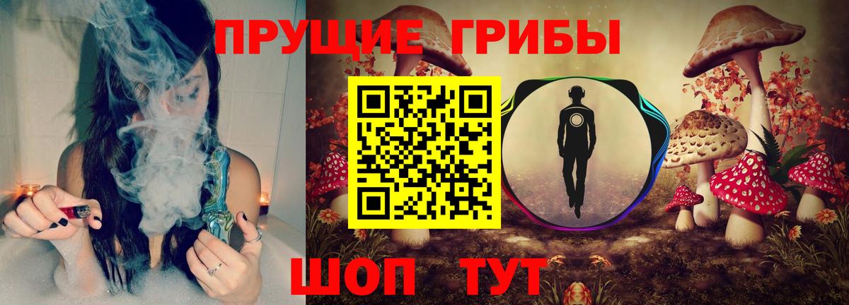 Галлюциногенные грибы Psilocybine cubensis Норильск
